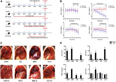 Integrated Lipidomics and Metabolomics Study of Four Chemically Induced Mouse Models of Acute Intrahepatic Cholestasis